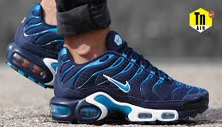 nike air max tn requin homme